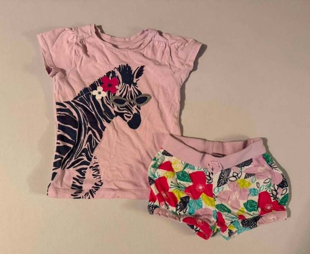 Gymboree Girls 3T Pink Zebra Graphic T-Shirt and Floral Shorts Set